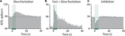 Characterizing the Access of Cholinergic Antagonists to Efferent Synapses in the Inner Ear